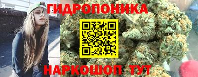 прущая мука Шахты