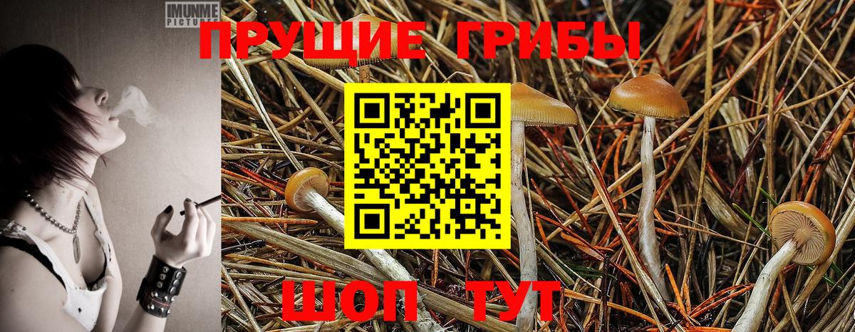 Галлюциногенные грибы GOLDEN TEACHER  Вход с VPN  Вятские Поляны 
